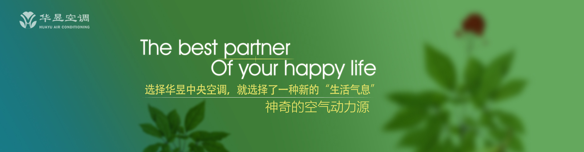 扶摇直上网